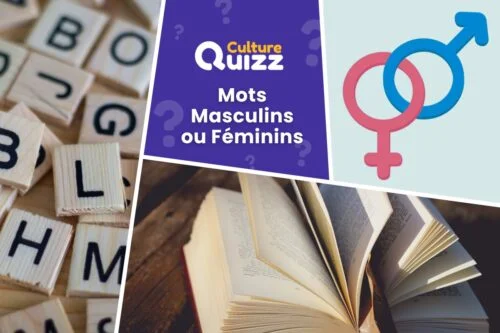 Quel est le genre des mots : masculin, féminin ou bien les 2 ? Répondez au quiz !