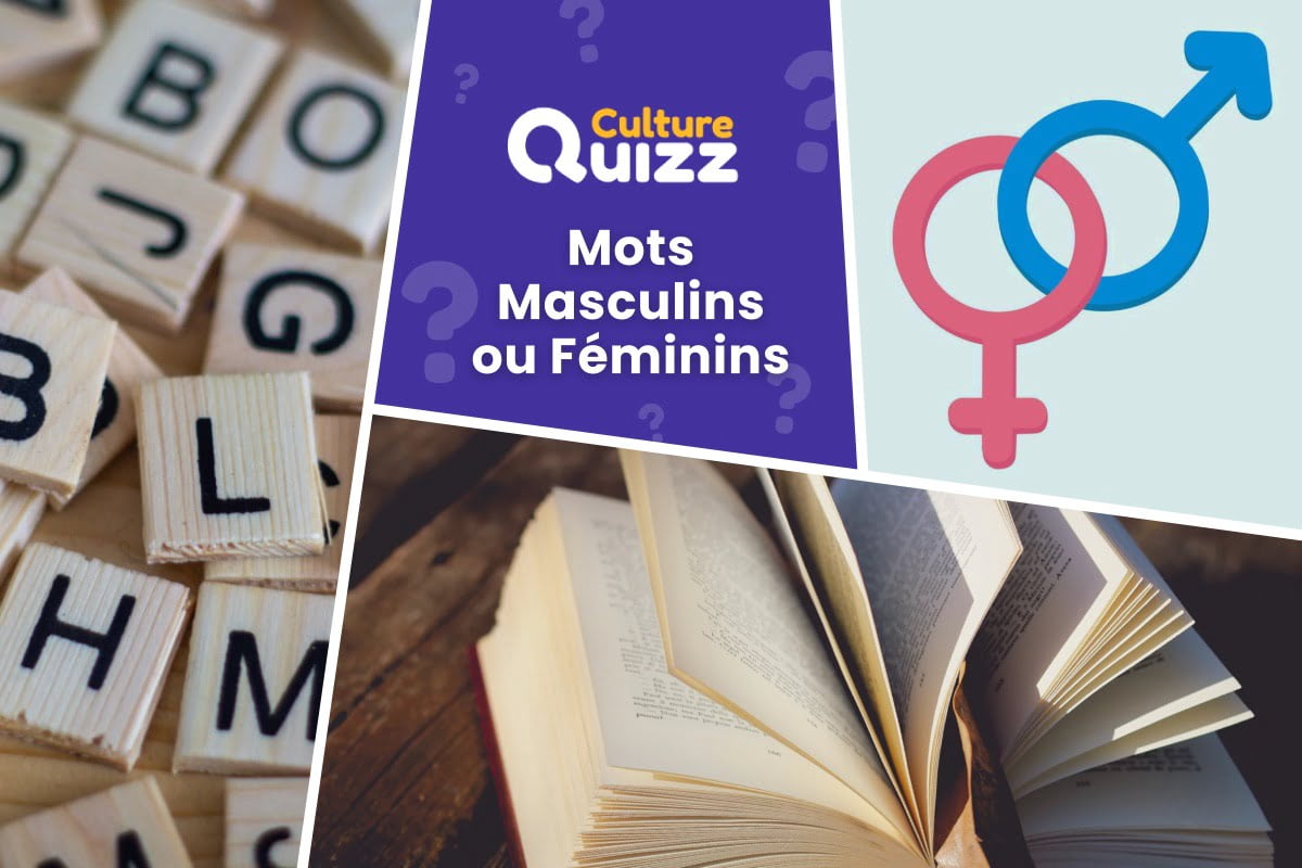 Quiz : Mots Masculins ou Féminins #1 - Quel est le genre des mots : masculin, féminin ou bien les 2 ? Répondez au quiz !