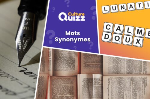 Quiz des Synonymes - Langue française - retrouvez les mots synonymes