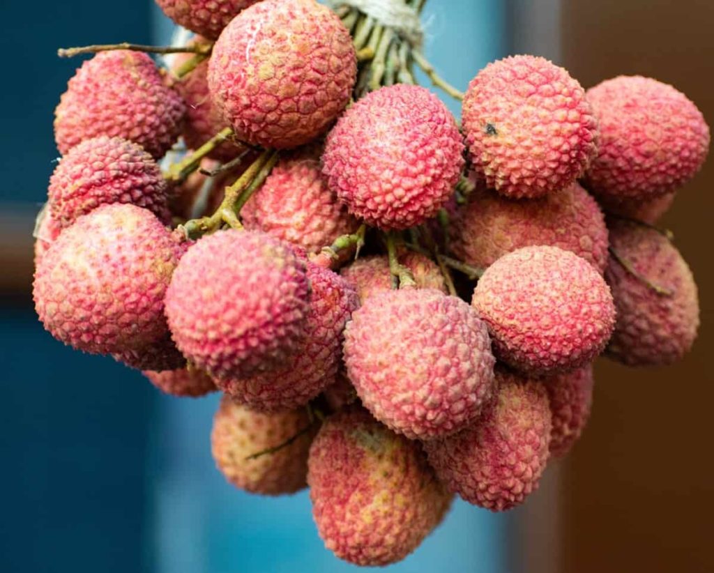 Quel est le nom de ce fruit ? 