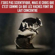 Photo de profil deCerise