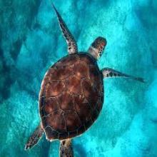 Photo de profil deCharlen89