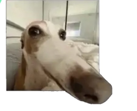 Photo de profil deAubert
