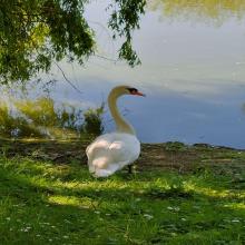 Photo de profil deLval