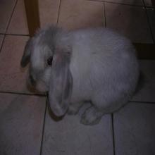 Photo de profil deDidou13