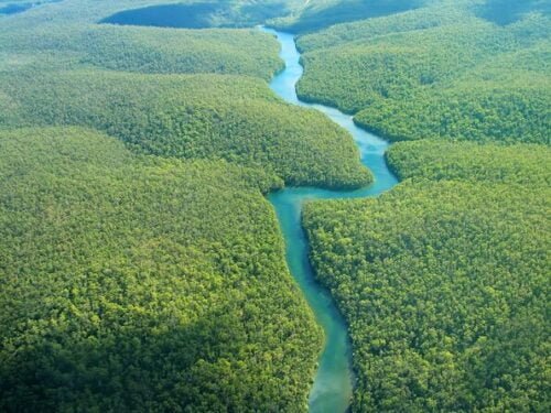 Dans quel océan se déverse l'Amazone ? 