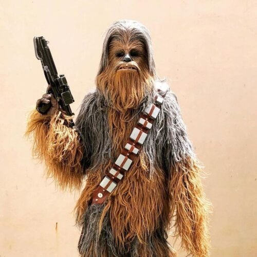 De qui Chewbacca, le plus célèbre des guerriers Wookie, est-il le copilote ?