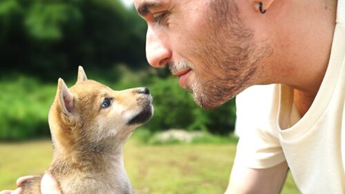 Comment s’appelle le chien de Squeezie, star des réseaux sociaux ? 