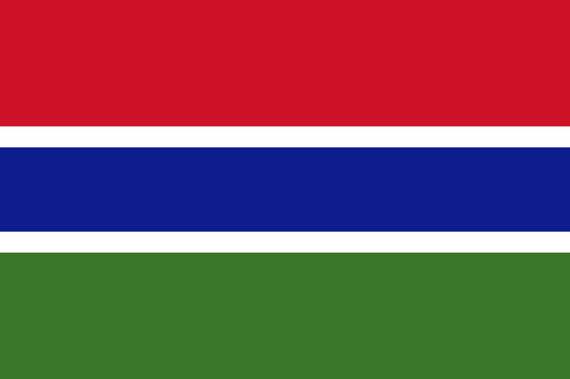 A votre avis, quel pays d’Afrique est représenté par ce drapeau ? 