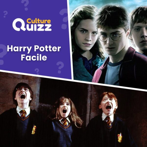 Quiz facile sur la saga Harry Potter - Cinéma Livres