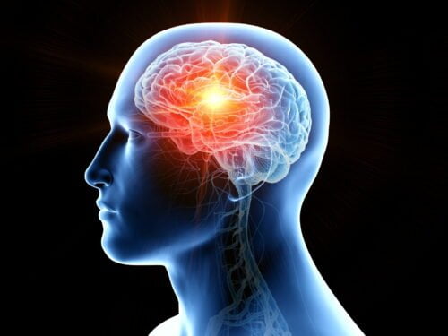 Combien de neurones un cerveau en pleine possession de ses capacités contient-il ? 