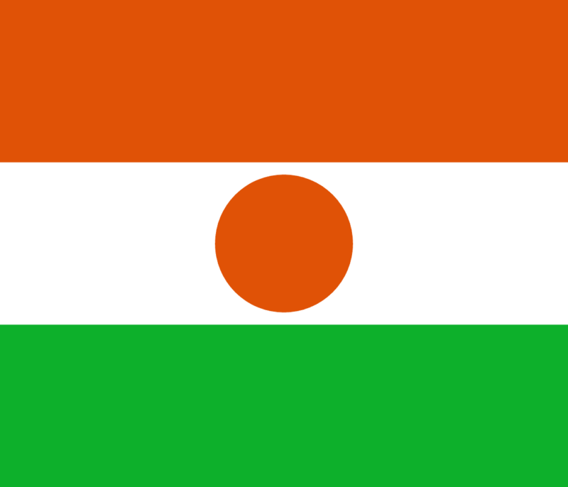 A votre avis, quel pays d’Afrique est représenté par ce drapeau ?