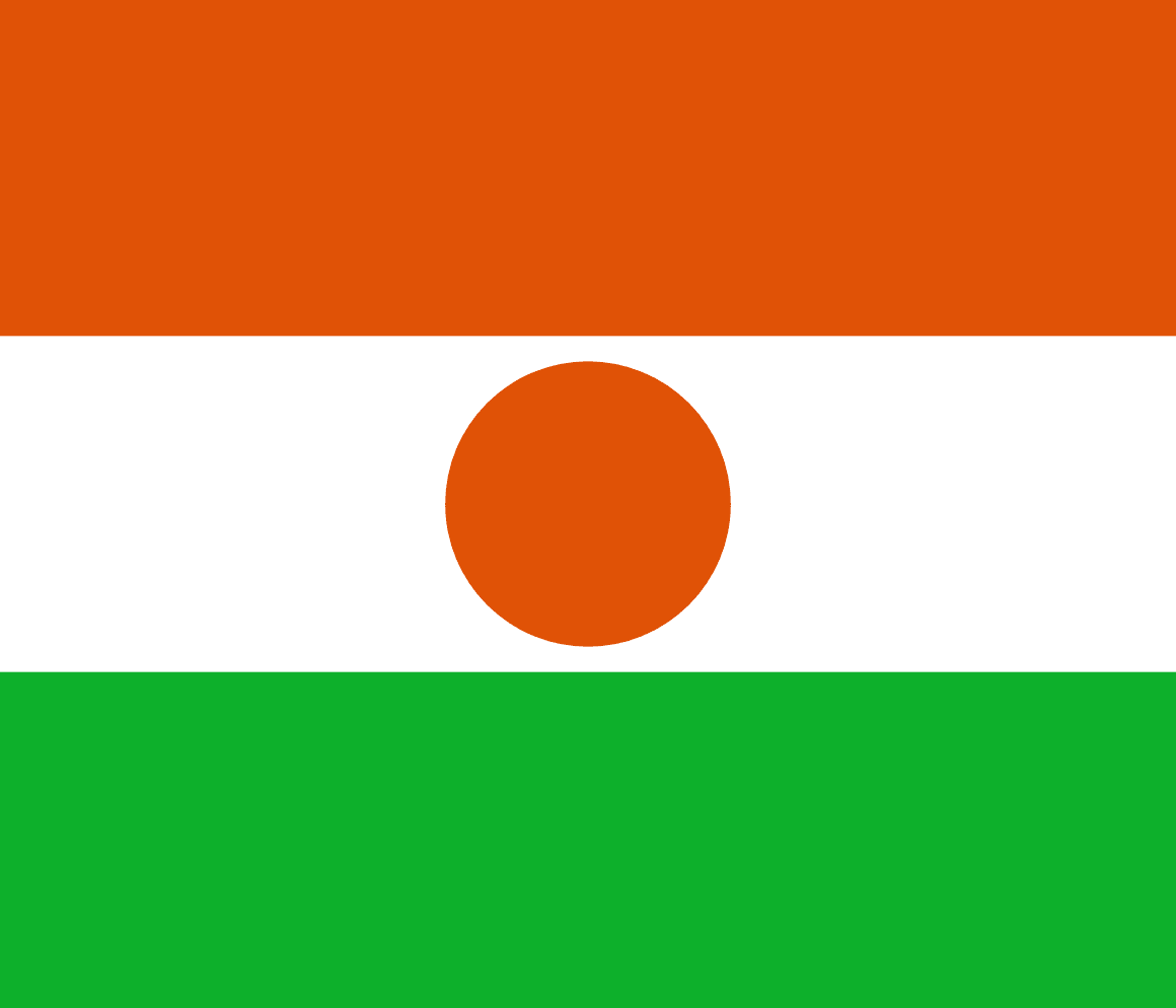 A votre avis, quel pays d’Afrique est représenté par ce drapeau ? 