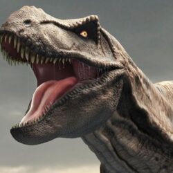 Un tyrannosaure - Par quel dinosaure Denis Nedry se fait-il tuer ?