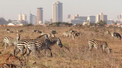 Quelle est la capitale du Kenya ? 